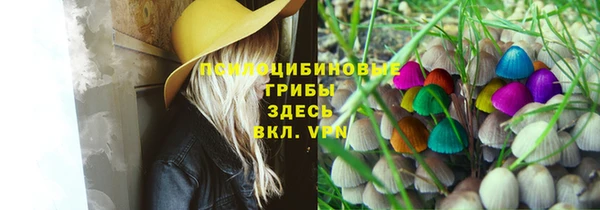 марихуана Пролетарск