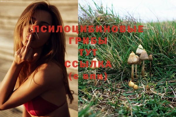 прущая мука Белоозёрский