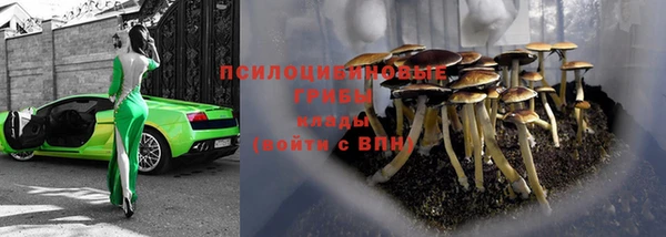 a pvp Беломорск
