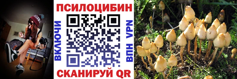 магазин  наркотиков  Ермолино  ссылка на мегу онион  Псилоцибиновые грибы мицелий 